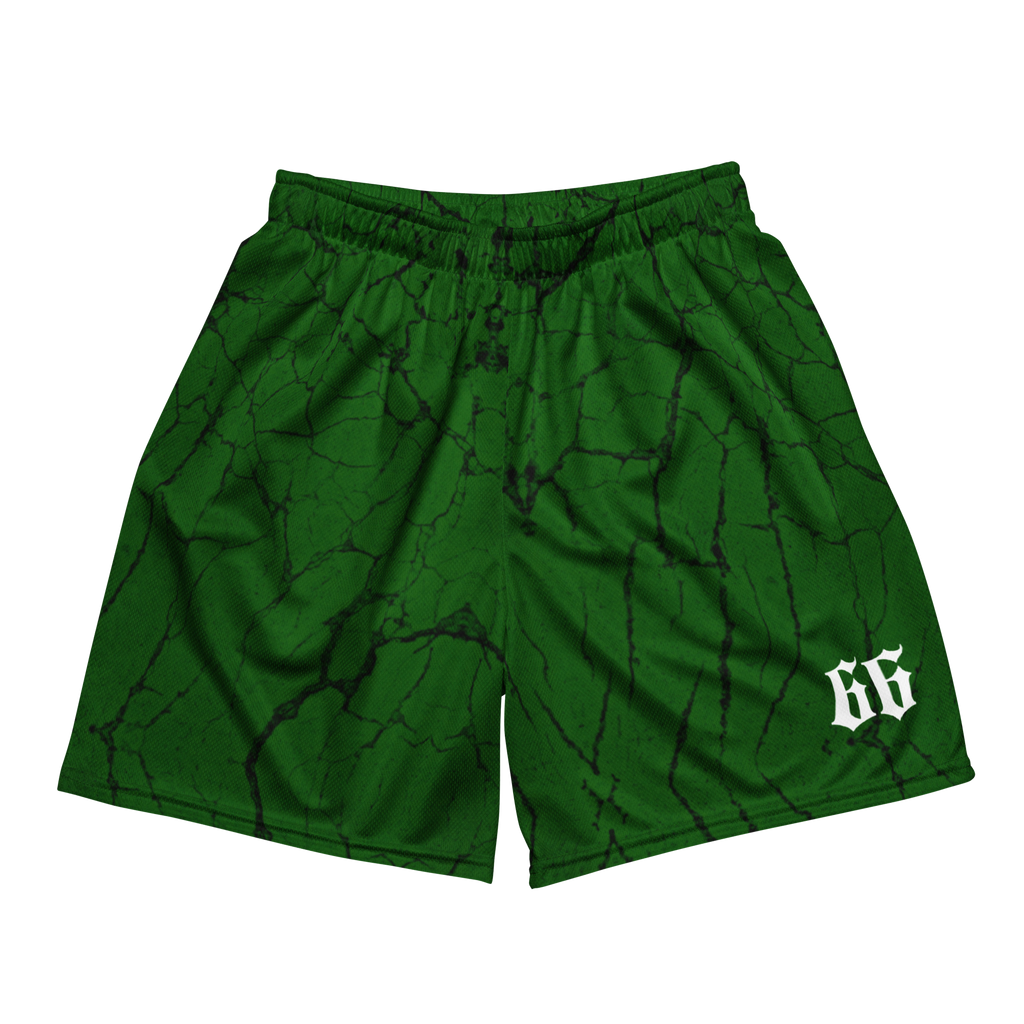 conjunto - verde