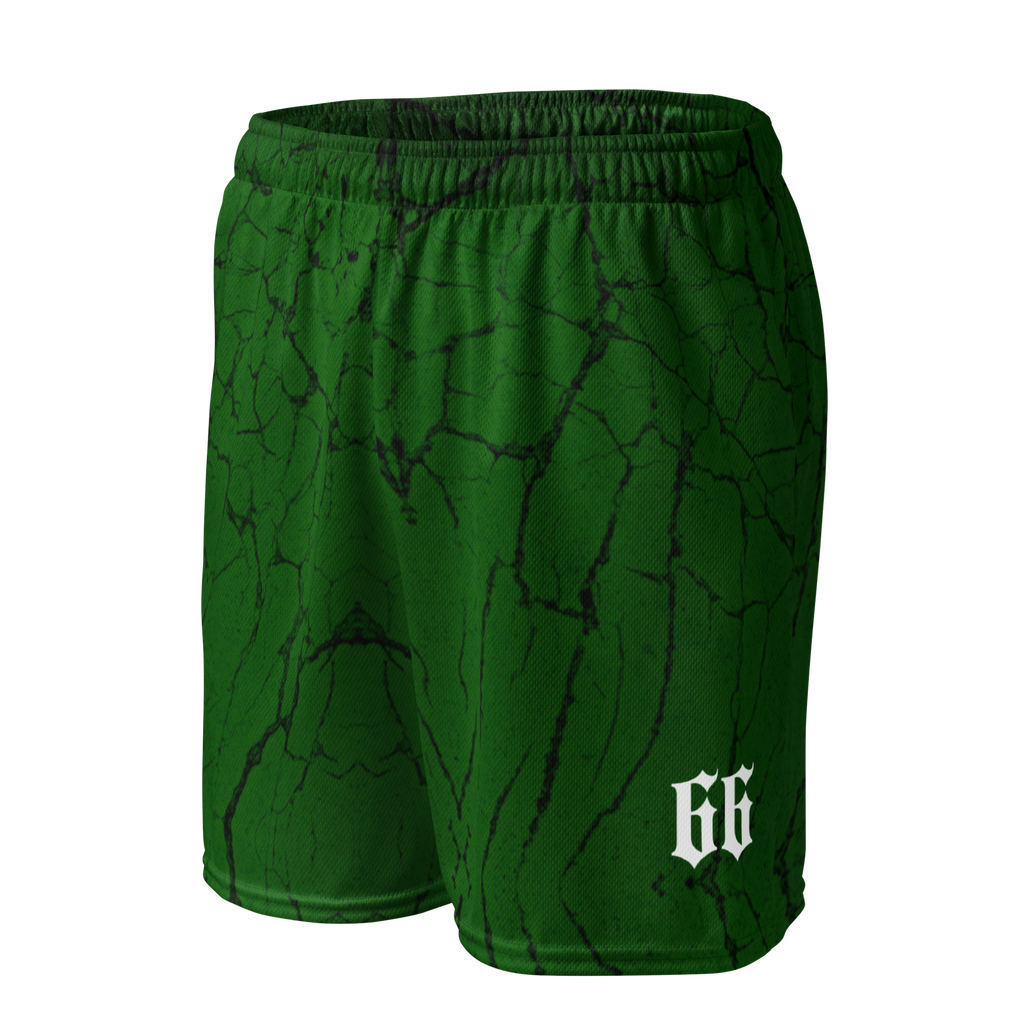 conjunto - verde